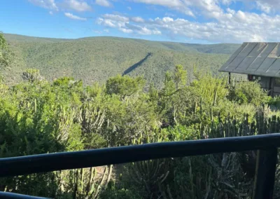 Kingfisher Tent (Glamping Tent 3) View