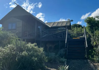 Heron Tent (Glamping Tent 5)